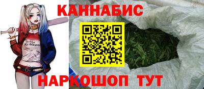 прущие грибы Балашиха
