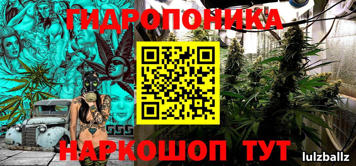 Бошки Шишки MAZAR Гуково